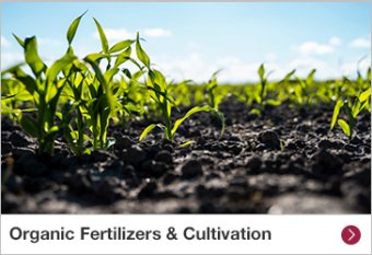 Organic Fertilizers & Cultivation