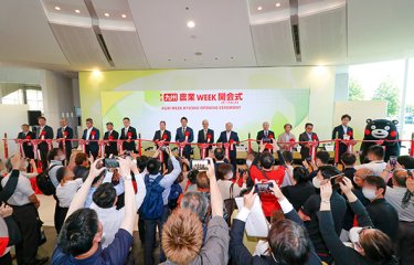 展示会の様子