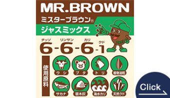 MR.BROWN 666 (JAS MIX)