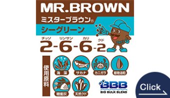 MR.BROWN 266 (SEA GREEN)
