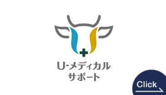 U-Medical Support