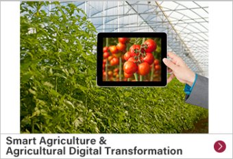 Smart Agriculture & Agricultural Digital Transformation