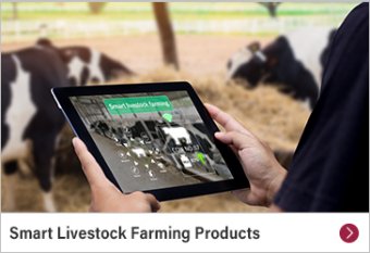Smart Livestock Farming Products