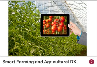 Smart Farming and Agricultural DX