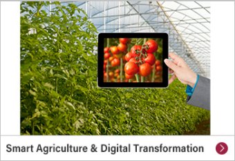 Smart Agriculture & Digital Transformation