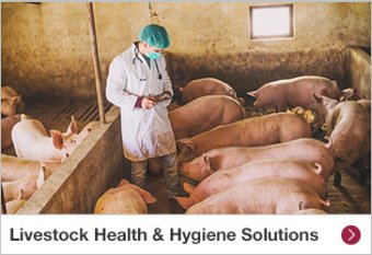 Livestock Health & Hygiene Solutions