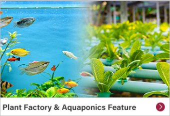 Plant Factory & Aquaponics Feature