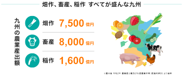 畑作、畜産、稲作 すべてが盛んな九州
