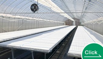 Ondine Hydroponic Cultivation System