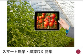 スマート農業・農業DX 特集