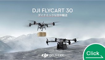 DJI FLYCART 30