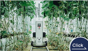 Cucumber Automatic Harvesting Robot
