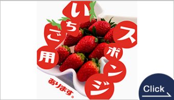 イチゴ用スポンジ　イチゴ用クッション　イチゴパック用シート『白』