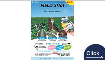 フィールドショット