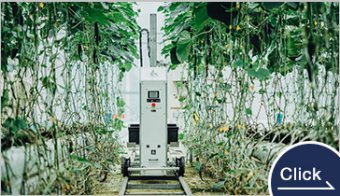 Automatic Cucumber Harvesting Robot