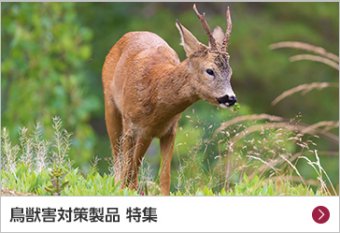 鳥獣害対策製品 特集