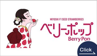 みらいのイチゴ ベリーポップ