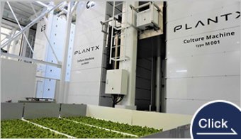 持続的な都市環境野菜サプライチェーン構築コンソーシアム
