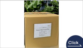 Smart Max Great Ray