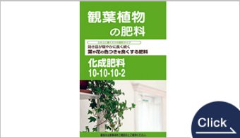 玉肥10－10－10－2