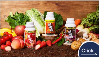 ヒトデ 液状肥料