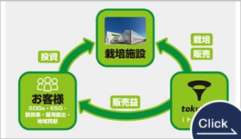 Tokuiten Package