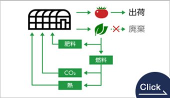 Energy Circulation System