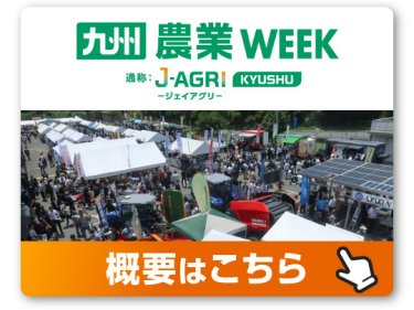 概要はこちら