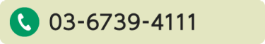 03-6739-4111