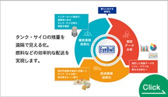 EyeOwl