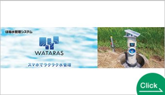 WATARAS（ワタラス）