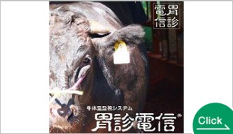 Ishin Denshin®