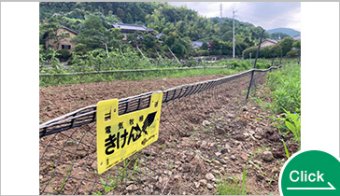NAKADA かたまったくん/鹿たまったくん