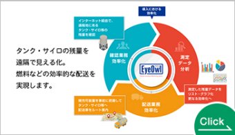 EyeOwl