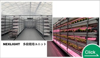 NEXLIGHT 多段式植物栽培ユニット