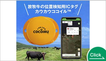 放牧牛の位置検知用ICタグ カウカウココイル™