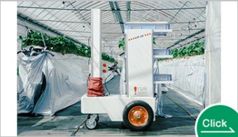 AIいちご自動収穫ロボット『ロボつみ』