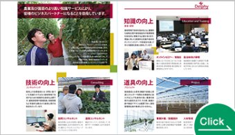 栽培コンサルティング、オンラインセミナー、研修会
