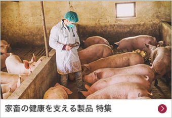 家畜の健康を支える製品 特集