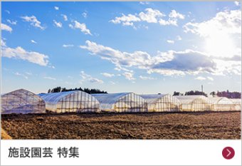 施設園芸 特集