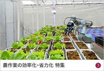 農作業の効率化・省力化 特集