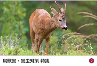 鳥獣害・害虫 対策