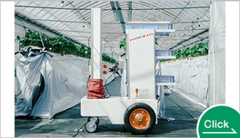 AIいちご自動収穫ロボット『ロボつみ』