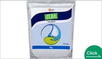 ZEBA（ゼバ）