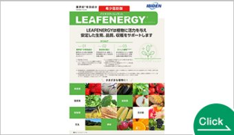 LEAF ENERGY　リーフエナジー