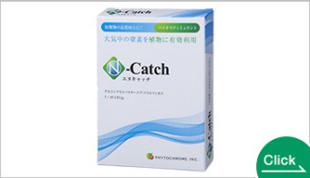 エヌキャッチ