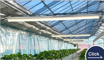 HotaluX AGRI-PEARL WHITE　電照LEDライトユニット