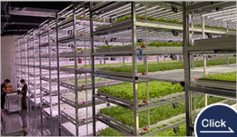 Smart Farm Facility Planning