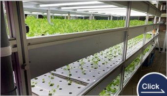 Rico Panel (PSP Hydroponic Panel)