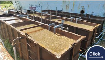 QCL-SODP Denitrification System